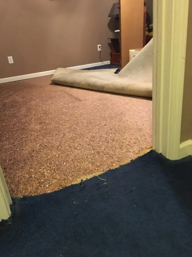 Carpet pad removal revealing water damage during Drying & Dehumidification in Lake Wales